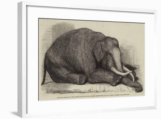 The Dead Elephant at the Gardens of the Zoological Society, Regent'S-Park-George Landseer-Framed Giclee Print