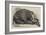 The Dead Elephant at the Gardens of the Zoological Society, Regent'S-Park-George Landseer-Framed Giclee Print