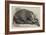 The Dead Elephant at the Gardens of the Zoological Society, Regent'S-Park-George Landseer-Framed Giclee Print