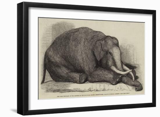 The Dead Elephant at the Gardens of the Zoological Society, Regent'S-Park-George Landseer-Framed Giclee Print