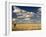 The Dead-Flat Grasslands of the Barkly Tablelands, Northern Territory, Australia, Pacific-Tony Waltham-Framed Photographic Print