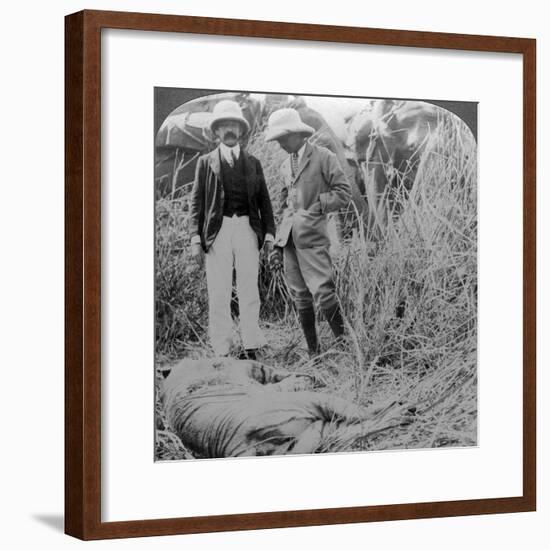 The Dead Maneater, Behar Jungle, India, C1900s-Underwood & Underwood-Framed Photographic Print