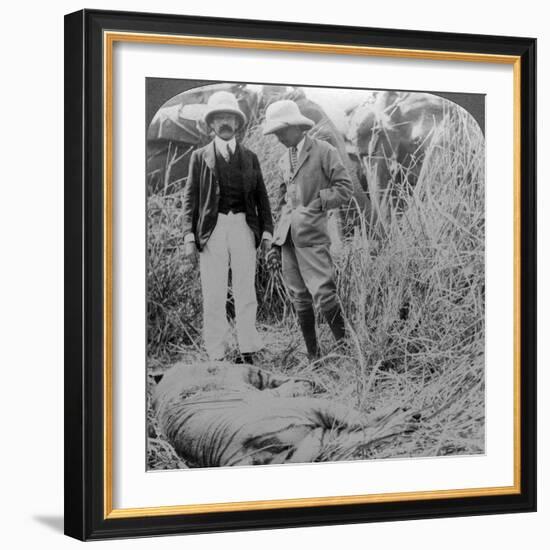 The Dead Maneater, Behar Jungle, India, C1900s-Underwood & Underwood-Framed Photographic Print