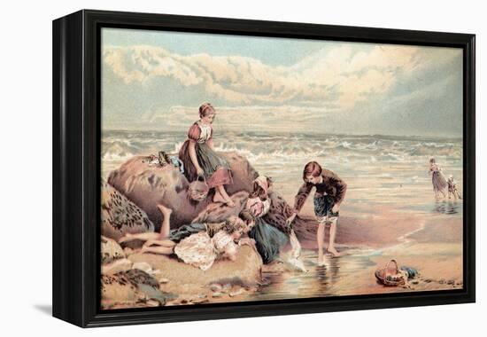 The Dead Sea-Bird-Myles Birket Foster-Framed Premier Image Canvas