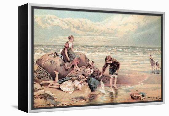 The Dead Sea-Bird-Myles Birket Foster-Framed Premier Image Canvas