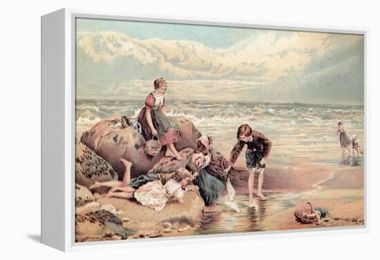 The Dead Sea-Bird-Myles Birket Foster-Framed Premier Image Canvas