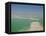 The Dead Sea, Israel, Middle East-Christina Gascoigne-Framed Premier Image Canvas