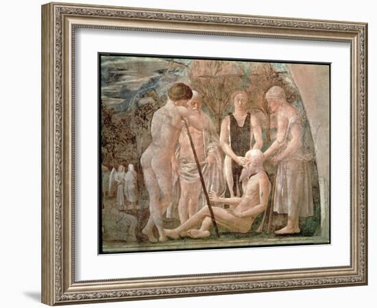 The Death of Adam, from the Legend of the True Cross Cycle, Completed 1464-Piero della Francesca-Framed Giclee Print