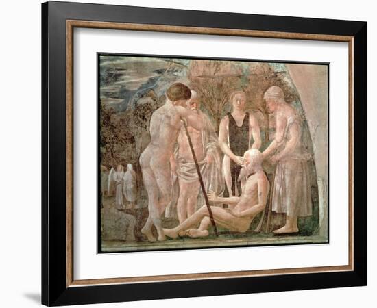 The Death of Adam, from the Legend of the True Cross Cycle, Completed 1464-Piero della Francesca-Framed Giclee Print