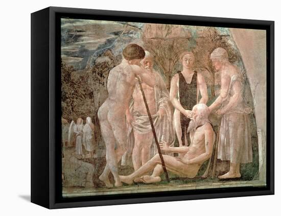 The Death of Adam, from the Legend of the True Cross Cycle, Completed 1464-Piero della Francesca-Framed Premier Image Canvas