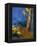 The Death of Buddha (La Mort De Bouddh)-Odilon Redon-Framed Premier Image Canvas