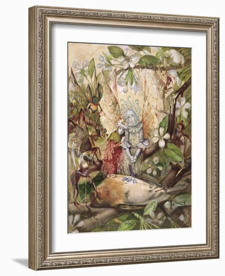 The Death of Cock Robin-John Anster Fitzgerald-Framed Giclee Print