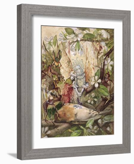 The Death of Cock Robin-John Anster Fitzgerald-Framed Giclee Print