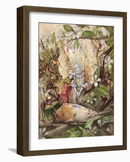 The Death of Cock Robin-John Anster Fitzgerald-Framed Giclee Print