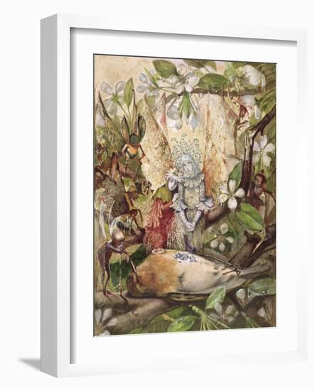 The Death of Cock Robin-John Anster Fitzgerald-Framed Giclee Print