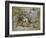 The Death of Hector, 1630-1635-Peter Paul Rubens-Framed Giclee Print