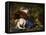 The Death of Procris, 1770, Retouched 1803-Benjamin West-Framed Premier Image Canvas