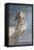 The Death of Sappho-Theodore Chasseriau-Framed Premier Image Canvas