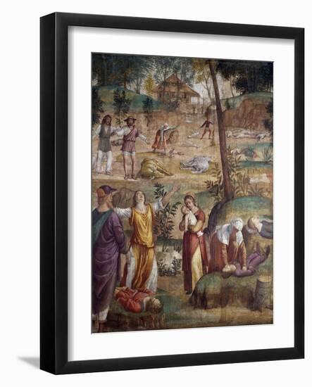 The Death of the Firstborn-Bernardino Luini-Framed Giclee Print