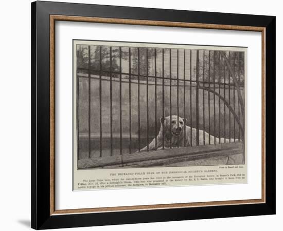 The Deceased Polar Bear at the Zoological Society's Gardens-null-Framed Giclee Print