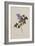 The Deep Purple Lilac, A Botanical Illustration-Georg Dionysius Ehret-Framed Giclee Print