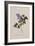 The Deep Purple Lilac, A Botanical Illustration-Georg Dionysius Ehret-Framed Giclee Print