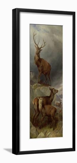 The Deer Forest-Richard Ansdell-Framed Giclee Print