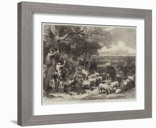 The Defence of Paris, Cattle and Sheep in the Bois De Boulogne-Arthur Hopkins-Framed Giclee Print