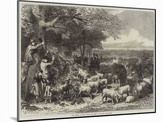 The Defence of Paris, Cattle and Sheep in the Bois De Boulogne-Arthur Hopkins-Mounted Giclee Print