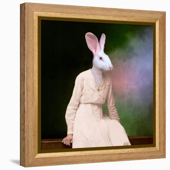 The Delicate Lady-Martine Roch-Framed Stretched Canvas