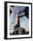 The Delta Iv Rocket That Will Launch the Goes-O Satellite into Orbit-null-Framed Photographic Print