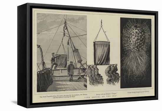 The Depths of the Sea-null-Framed Premier Image Canvas