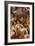 The Descent from the Cross, 1553-Agnolo Bronzino-Framed Giclee Print