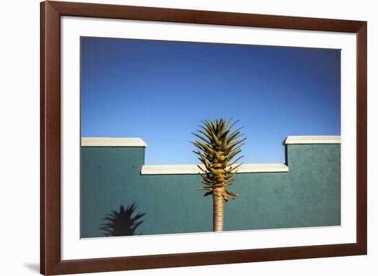 the desert blooms-Linda Wride-Framed Photographic Print