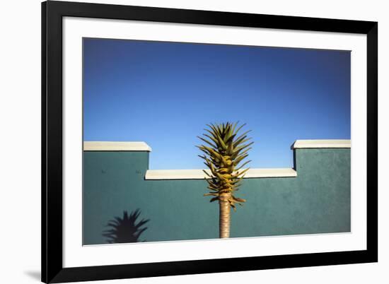 the desert blooms-Linda Wride-Framed Photographic Print