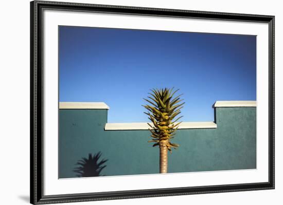 the desert blooms-Linda Wride-Framed Photographic Print