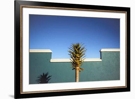 the desert blooms-Linda Wride-Framed Photographic Print