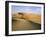 The desert near al-'Ain - sand dunes in striking pink colour-Werner Forman-Framed Giclee Print