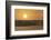 The Desert Near Liwa, Abu Dhabi, United Arab Emirates, Middle East-Angelo Cavalli-Framed Photographic Print