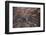 The Desert near the Dead Sea.-Stefano Amantini-Framed Photographic Print