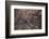 The Desert near the Dead Sea.-Stefano Amantini-Framed Photographic Print