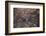 The Desert near the Dead Sea.-Stefano Amantini-Framed Photographic Print