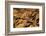 The Desert near the Dead Sea.-Stefano Amantini-Framed Photographic Print