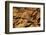 The Desert near the Dead Sea.-Stefano Amantini-Framed Photographic Print