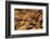 The Desert near the Dead Sea.-Stefano Amantini-Framed Photographic Print