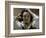 The Desperate Man (Self-Portrai)-Gustave Courbet-Framed Giclee Print