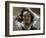 The Desperate Man (Self-Portrai)-Gustave Courbet-Framed Giclee Print