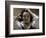 The Desperate Man (Self-Portrai)-Gustave Courbet-Framed Giclee Print