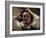 The Desperate Man (Self Portrait), 1843-45 (Oil on Canvas)-Gustave Courbet-Framed Giclee Print