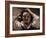 The Desperate Man (Self Portrait), 1843-45 (Oil on Canvas)-Gustave Courbet-Framed Giclee Print